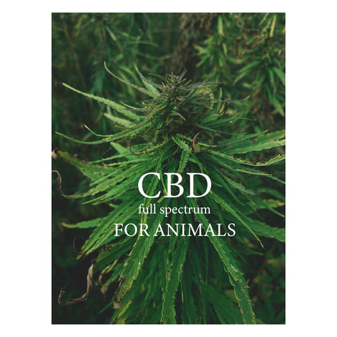 CBD aliejus gyvūnams