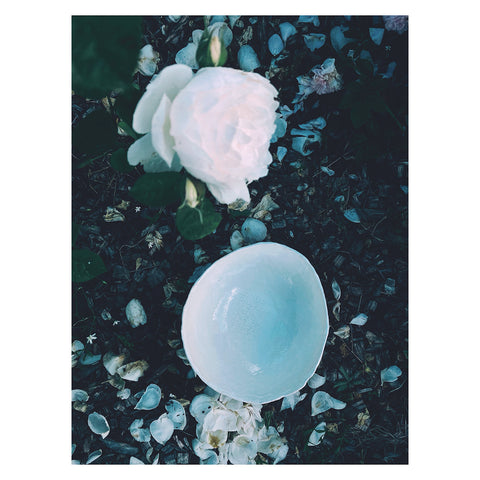 DIDELIS DUBUO "BALTA GELDELĖ"